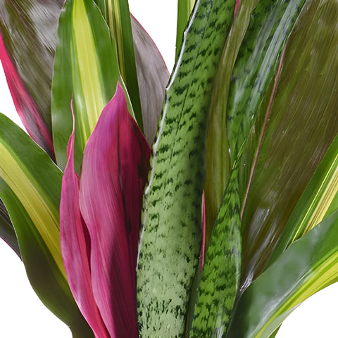 Touch of Purple Tropical Greenery Centerpiece