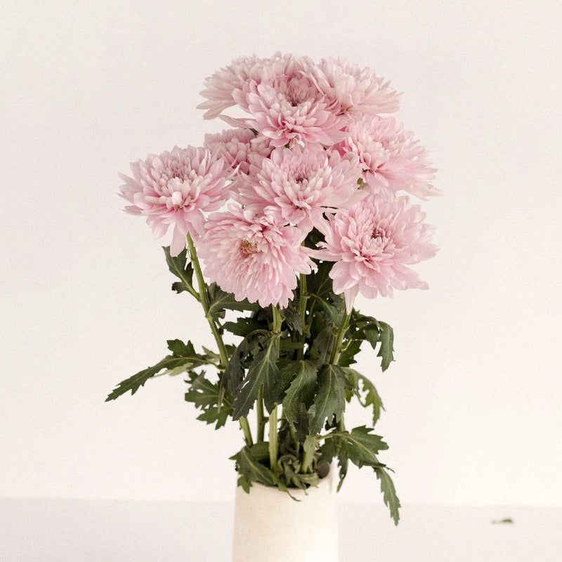 Football Mum Lavender Pink Vase - Image