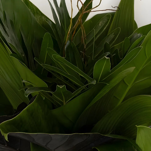 Forest Green Savanna Flower Centerpiece Hand - Image