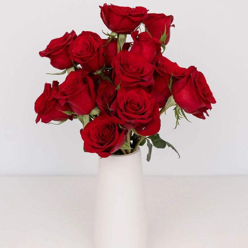 Fortune Fresh Cut Red Roses Vase - Image