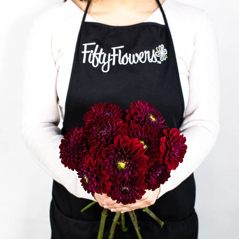 Buy Wholesale Black Flowers in Bulk - FiftyFlowers