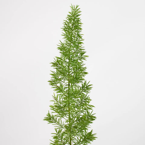 Foxtail Greenery Stem
