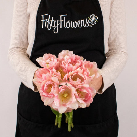 Foxtrot Pink and White Tulip Flower Bunch in Hand