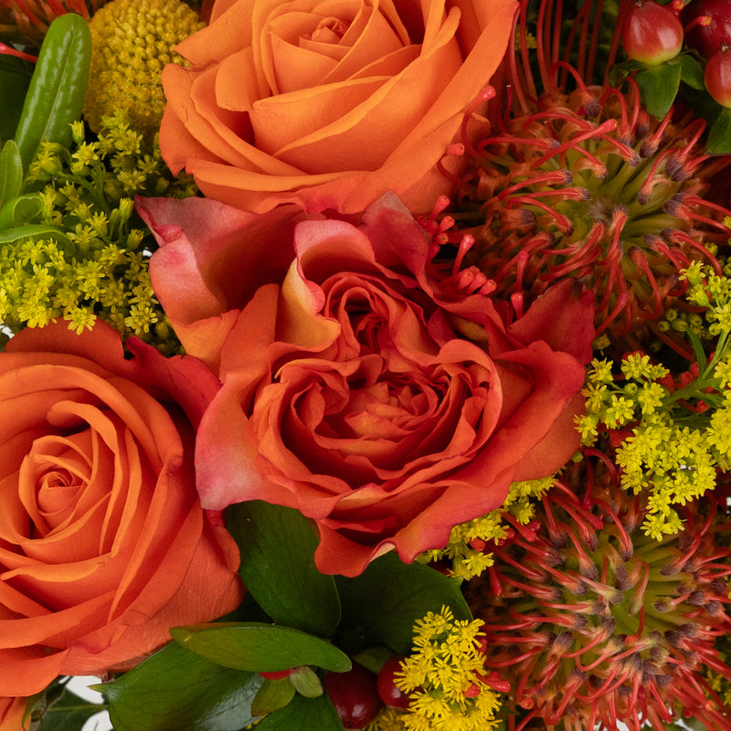 Free Spirit And Pin Cushion Diy Flower Kit Close Up - Image