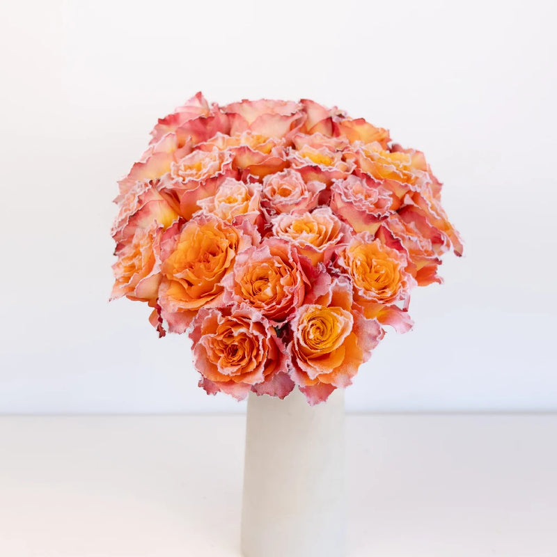 Free Spirit Fuzzy Roses Vase - Image