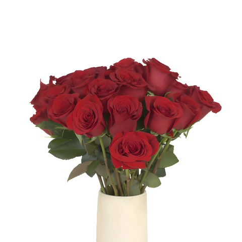 Freedom Red Roses For Valentines Day Vase - Image