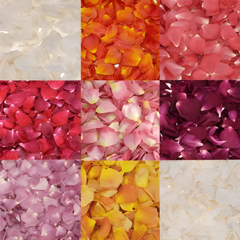 Pink Dry Rose Petals