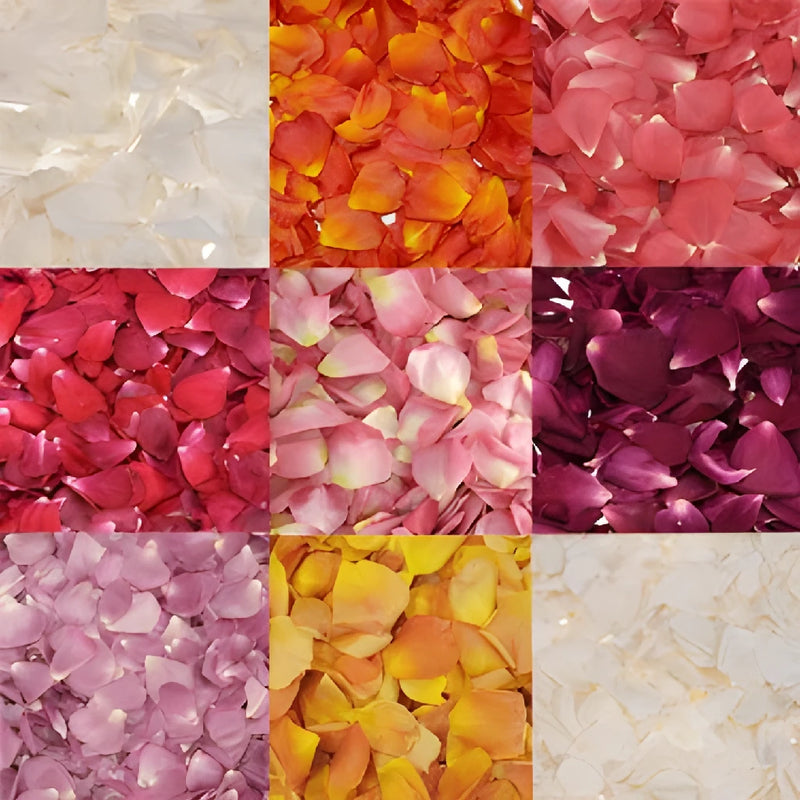 Pink Dry Rose Petals