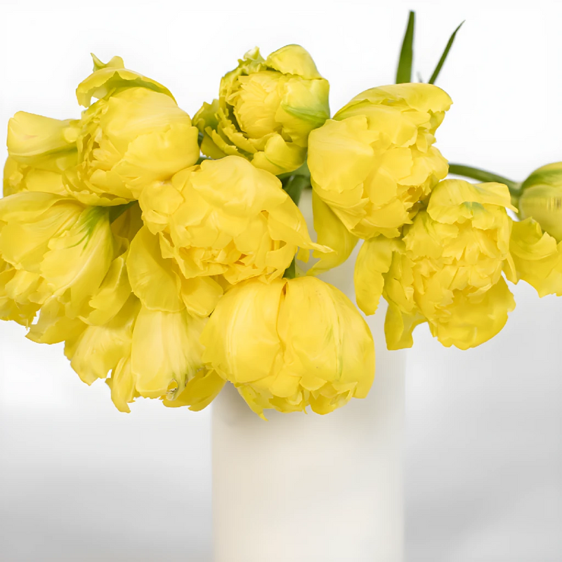 Fresh Bulk Yellow Double Tulips Vase - Image