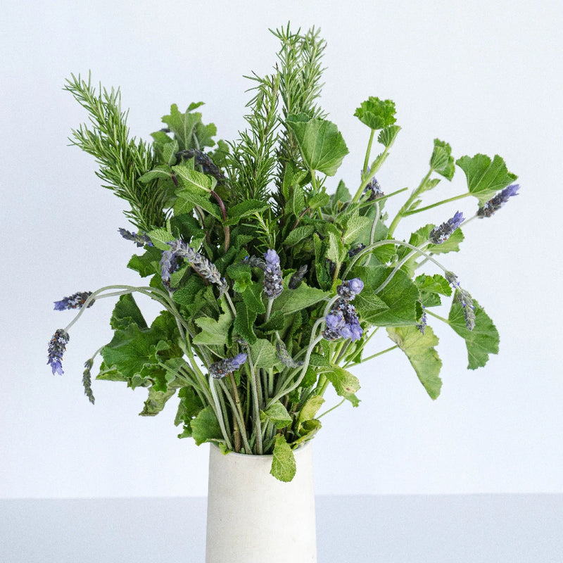 Fresh Cut Herb Assortment Vase - Image