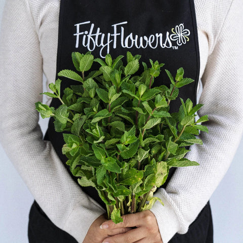 Fresh Cut Mint Herb For Flower Arranging Apron - Image