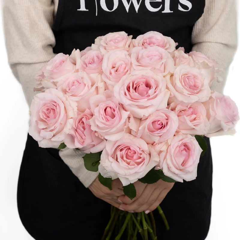 Fresh Cut Rose Sweet Pink Apron - Image