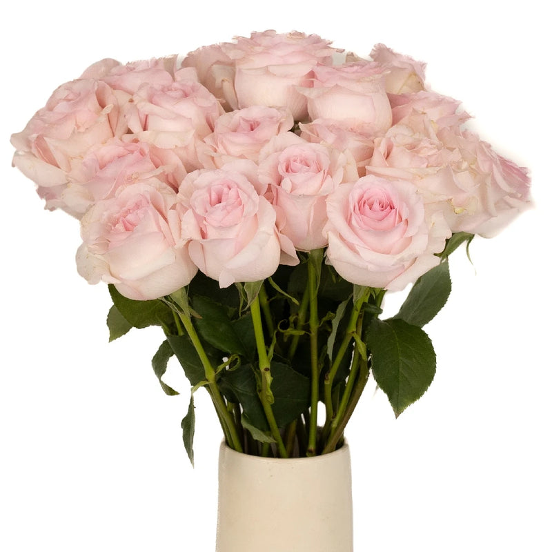 Fresh Cut Rose Sweet Pink Vase - Image