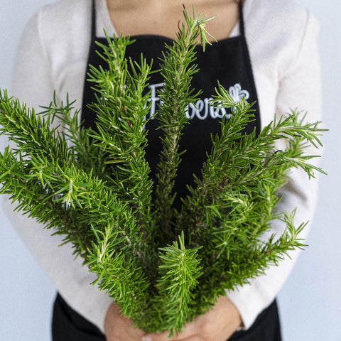 Fresh Cut Rosemary Herb Wholesale Apron - Image