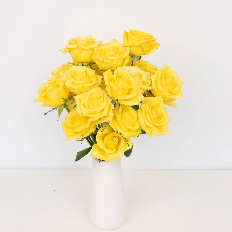 Fresh European Cut Yellow Roses For Your House Vase - Image