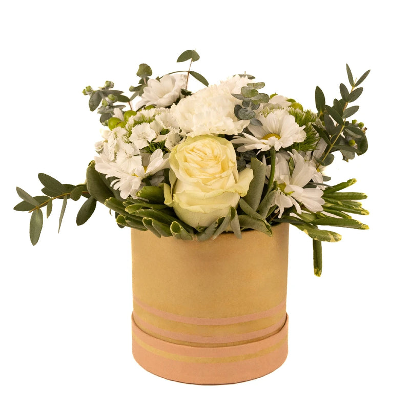 Fresh Greens And Daisy Flower Arrangement Close Up - Image