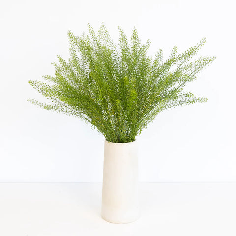 Fresh Pennycress Greenery Vase - Image