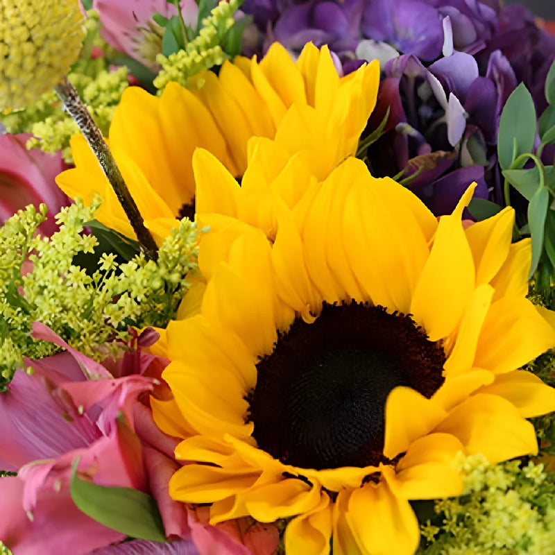 Fresh Sunflower Bouquet For Valentines Day Close Up - Image
