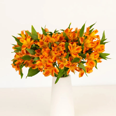 Fruit Punch Alstroemeria Flowers Vase - Image