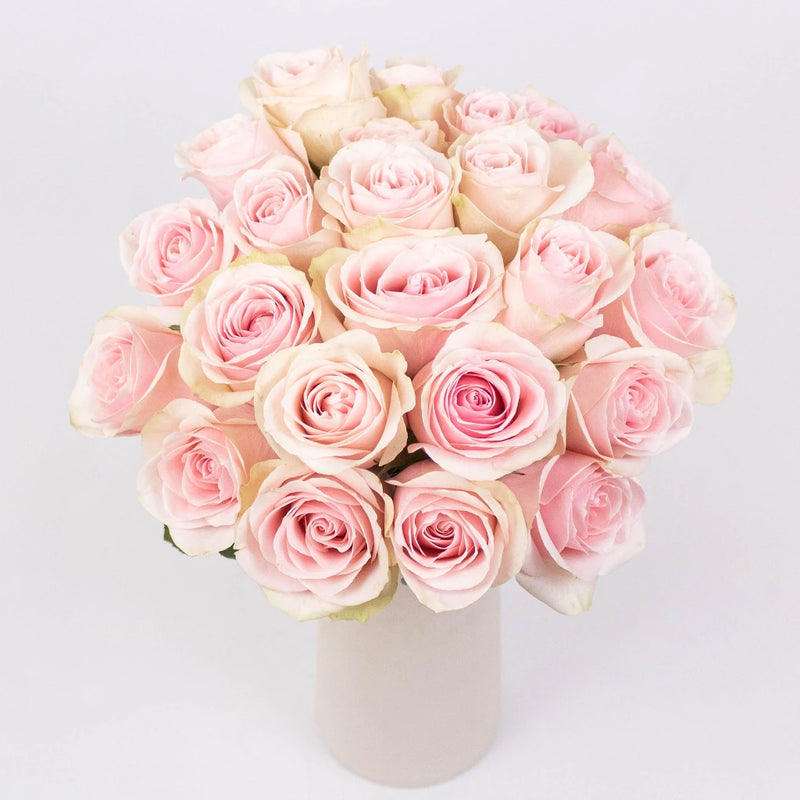 Frutteto Light Pink Roses in Vase