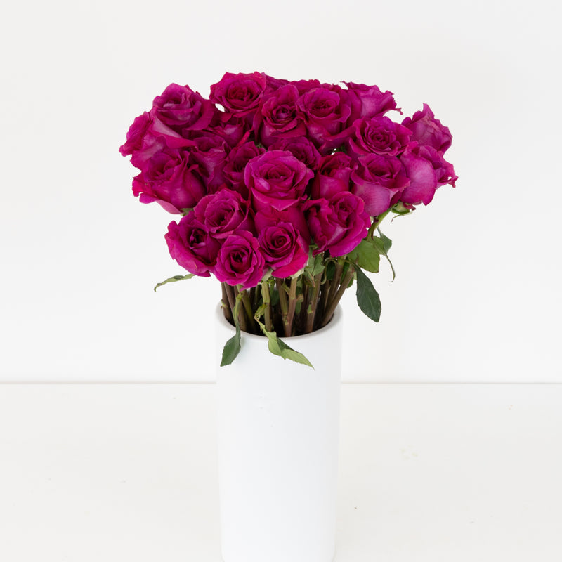 Fuchsia Mamy Garden Rose Vase - Image