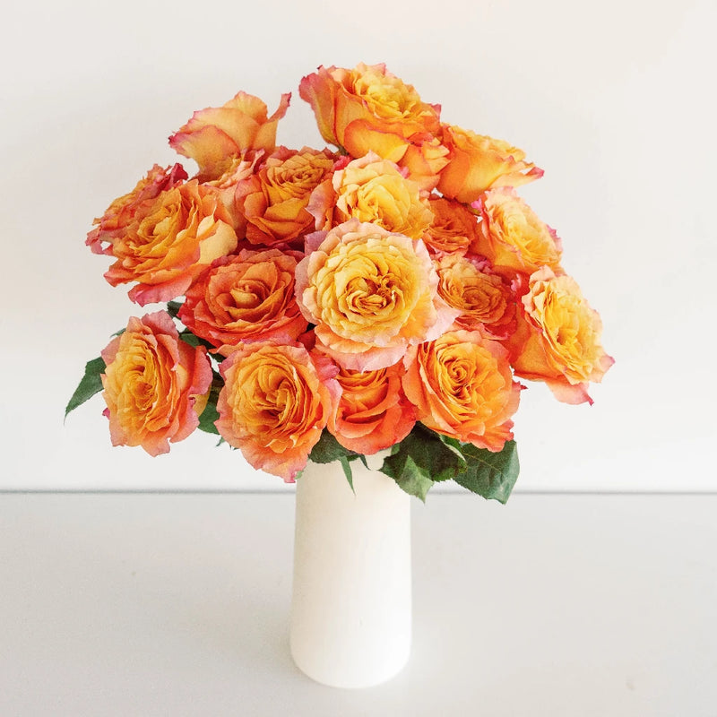 Garden Rose Orange Sherbet Vase - Image