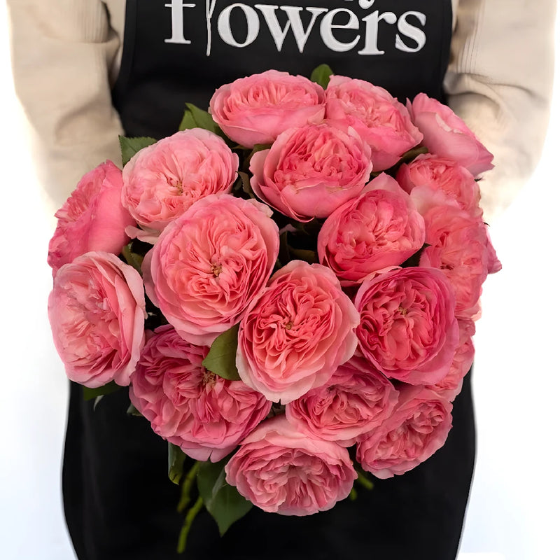 Garden Rose Pink Flower Maria Theresia Apron - Image