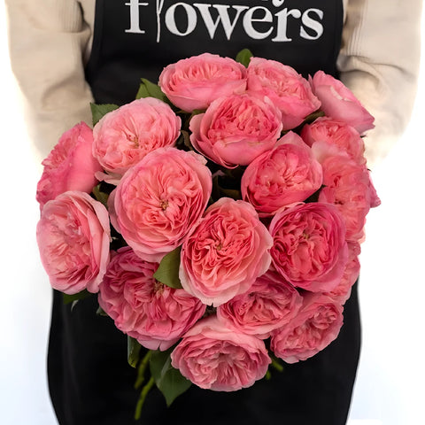 Garden Rose Pink Flower Maria Theresia