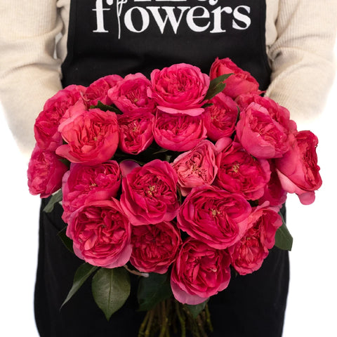 Garden Rose Princess Pink Apron - Image