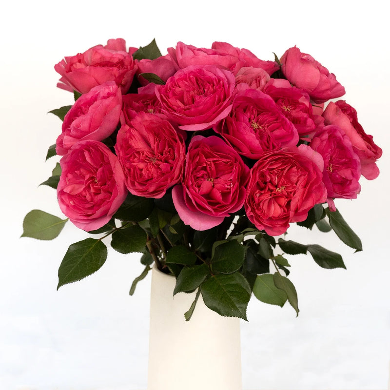 Garden Rose Princess Pink Vase - Image