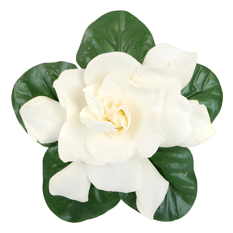 Fresh Gardenia Wedding Flower