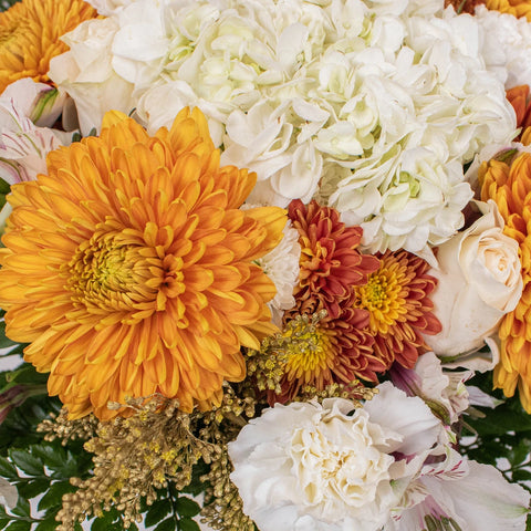 Gathering Place Orange and White Flower In Hand