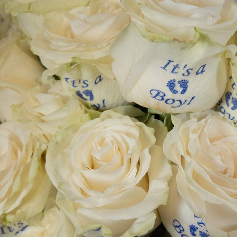 Gender Reveal Boy Personalized Roses Close Up - Image