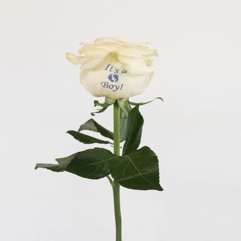 Gender Reveal Boy Personalized Roses Stem - Image