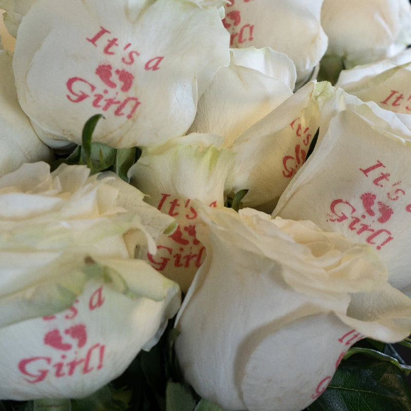 Gender Reveal Girl Personalized Roses Close Up - Image