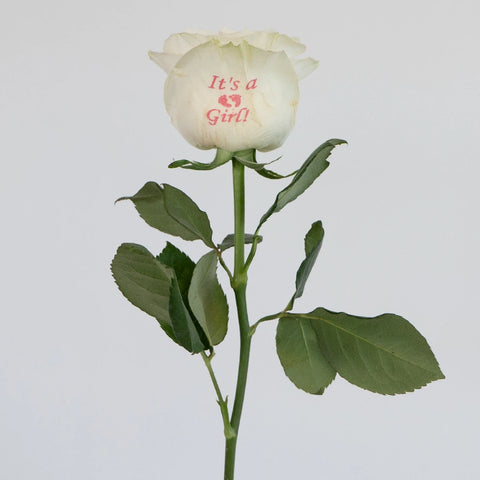 Gender Reveal Girl Personalized Roses Stem - Image