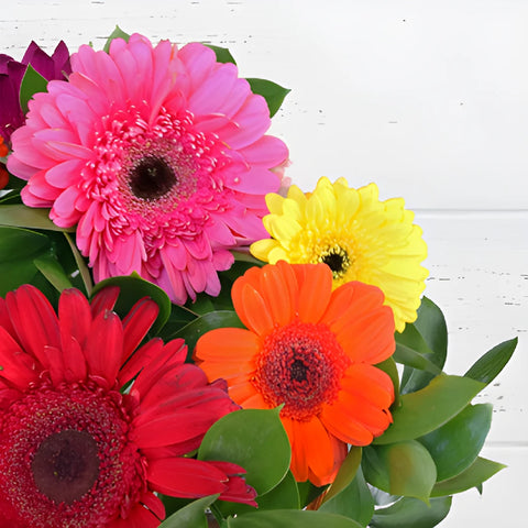Save The Gerber Daisy Growers DIY Flower Kit