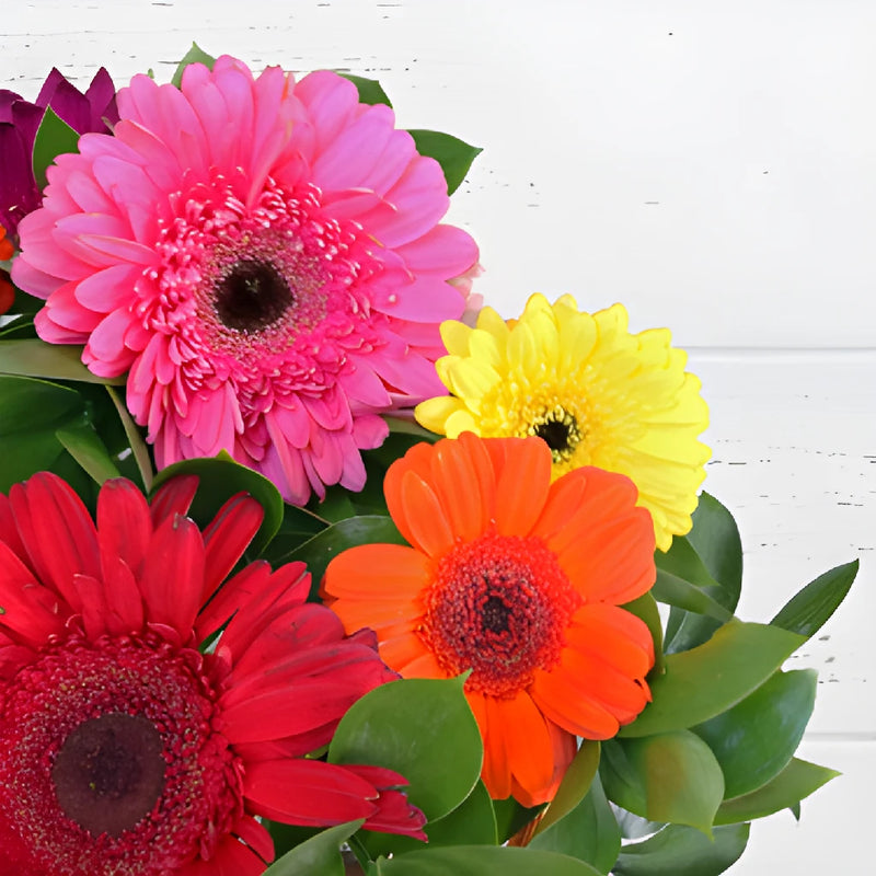 Save The Gerber Daisy Growers DIY Flower Kit
