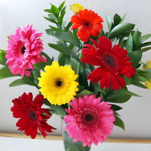 Save The Gerber Daisy Growers DIY Flower Kit