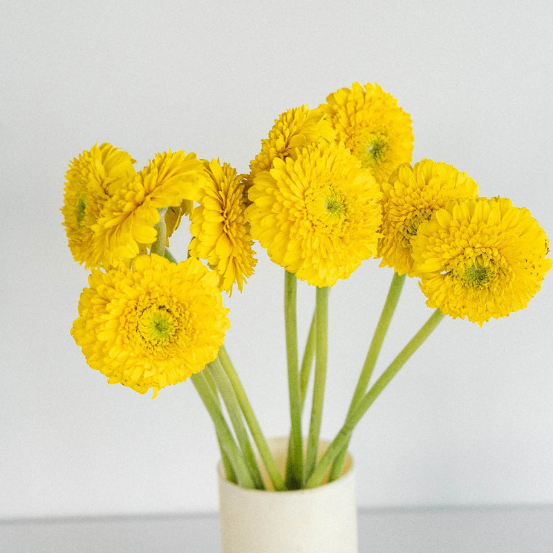 Gerrondo Gerbera Yellow Flower Vase - Image