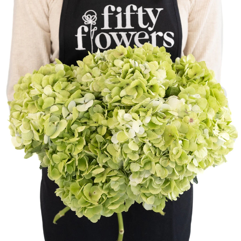Giant Pale Green Hydrangea Flower Apron - Image
