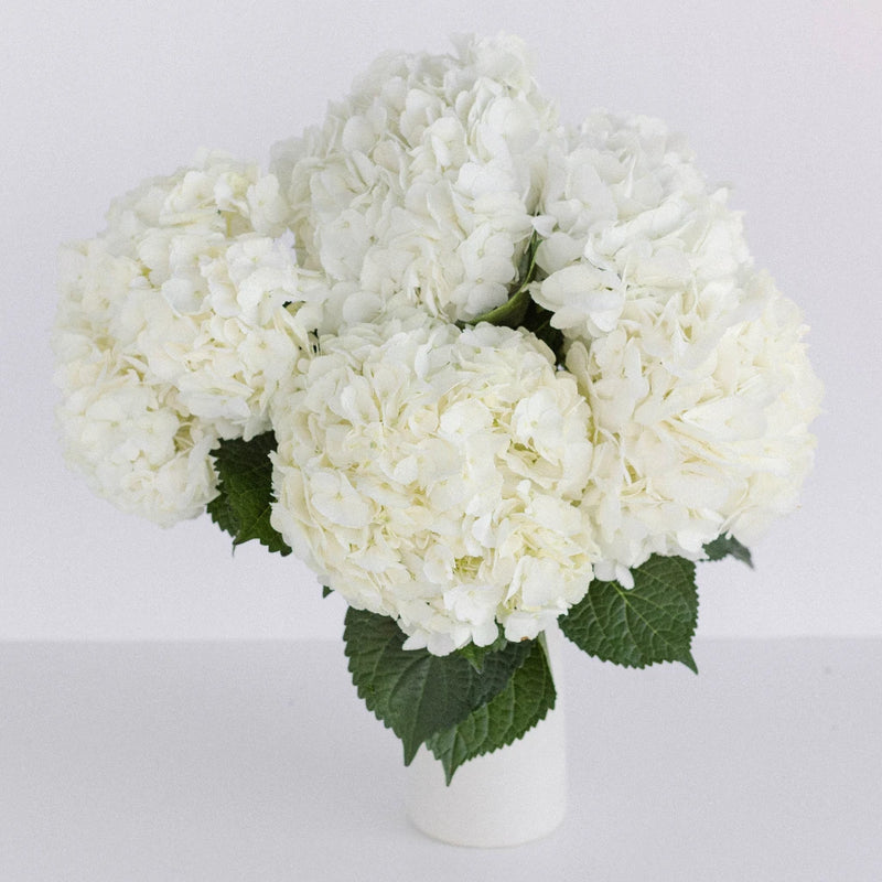 Giant Pure White Hydrangea Flower Vase - Image