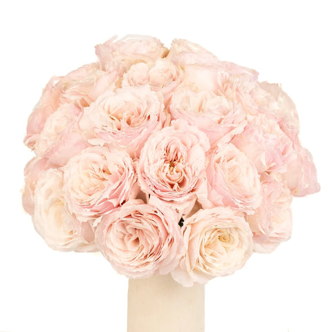 Ginger Cream Garden Rose Vase - Image