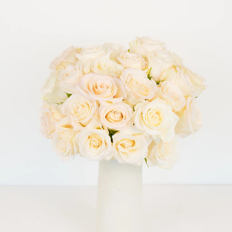 Giuliana Roses Vase - Image