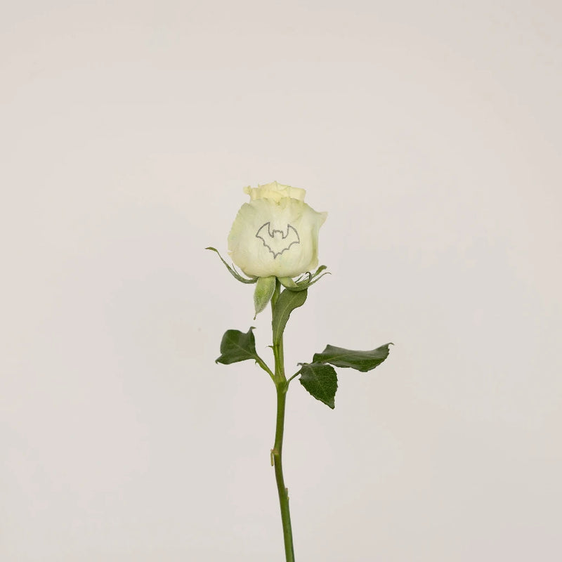 Glow In The Dark Black Bat Rose Stem - Image