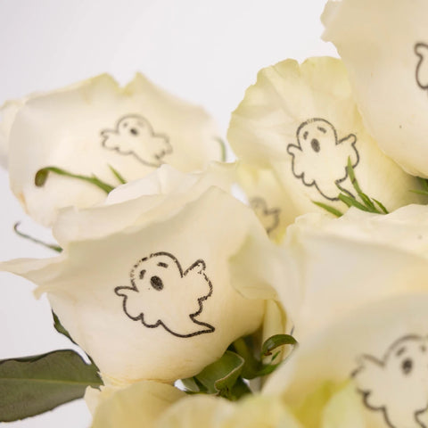 Glow In The Dark Ghost White Rose Close Up - Image