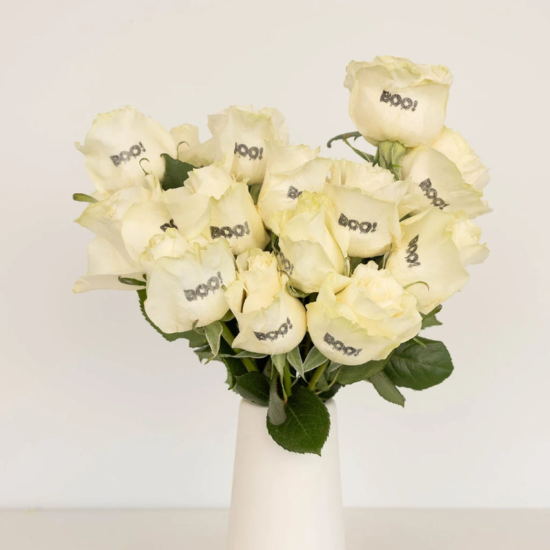 Glow In The Dark Halloween Boo! Rose Apron - Image