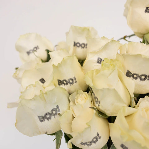 Glow In The Dark Halloween Boo! Rose Close Up - Image