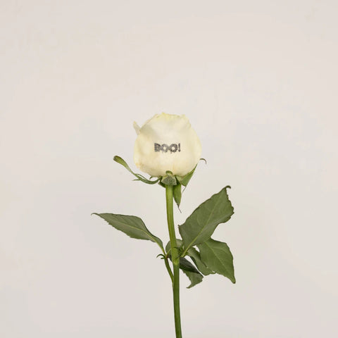 Glow In The Dark Halloween Boo! Rose Vase - Image