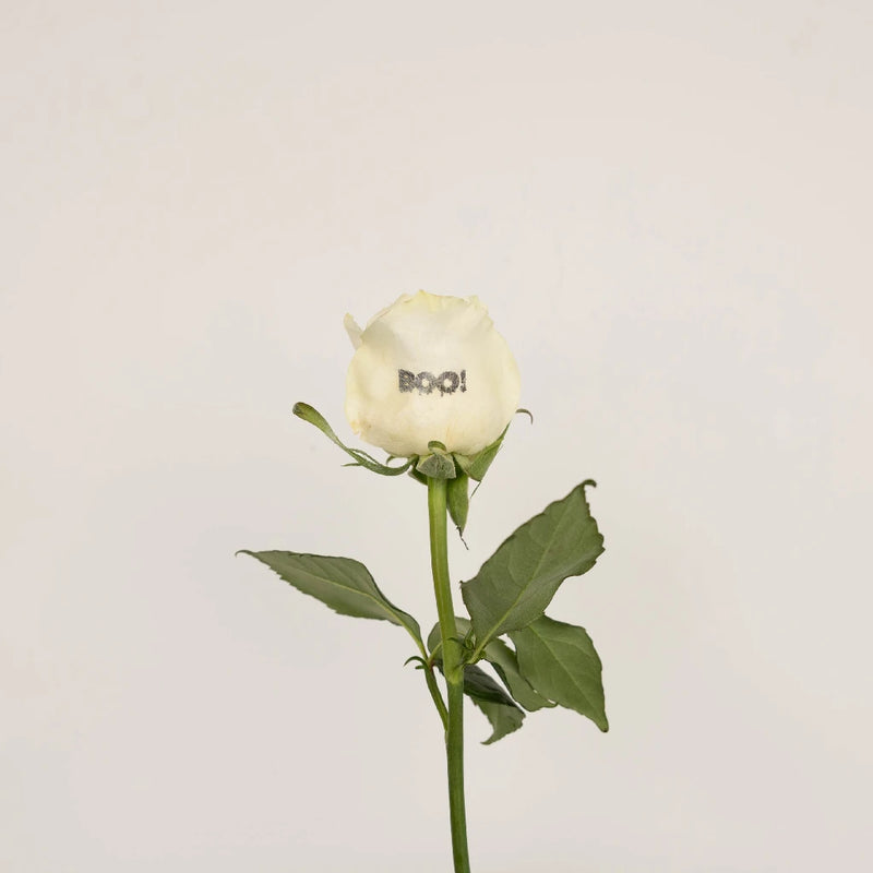 Glow In The Dark Halloween Boo! Rose Vase - Image